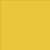 Vibrant Sand
